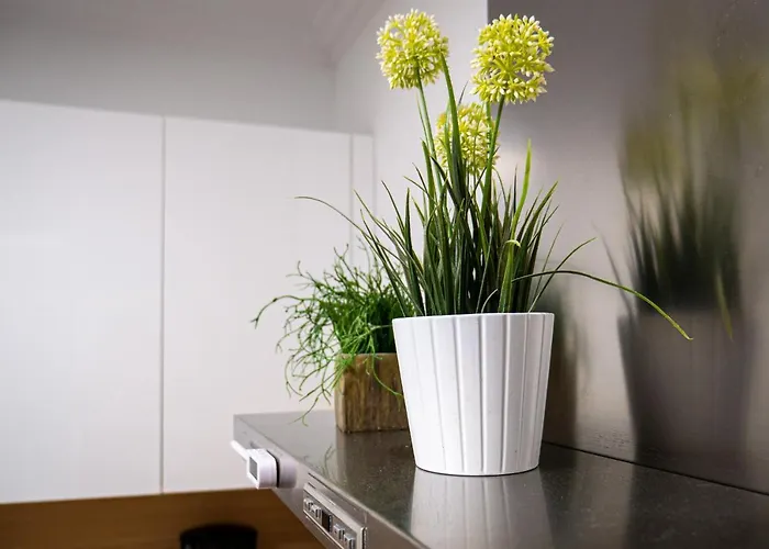 Palermo By Beauty سان سيباستيان